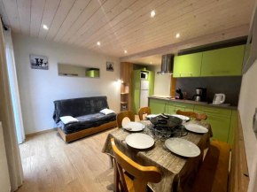 Gentianes 3 - Appartement centre village et proche pistes de skis La Clusaz
